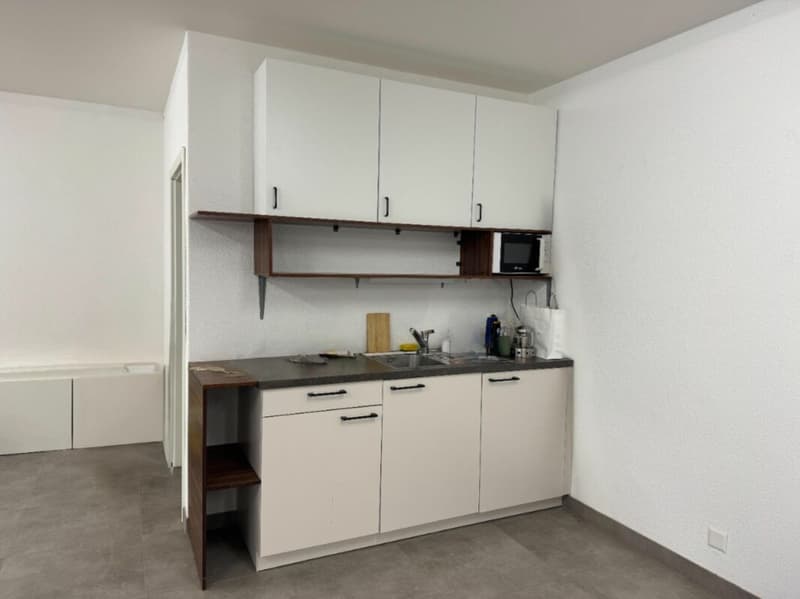 Administrative/Office 1.5 rooms 156.35 m2 in Puidoux-Gare (5)