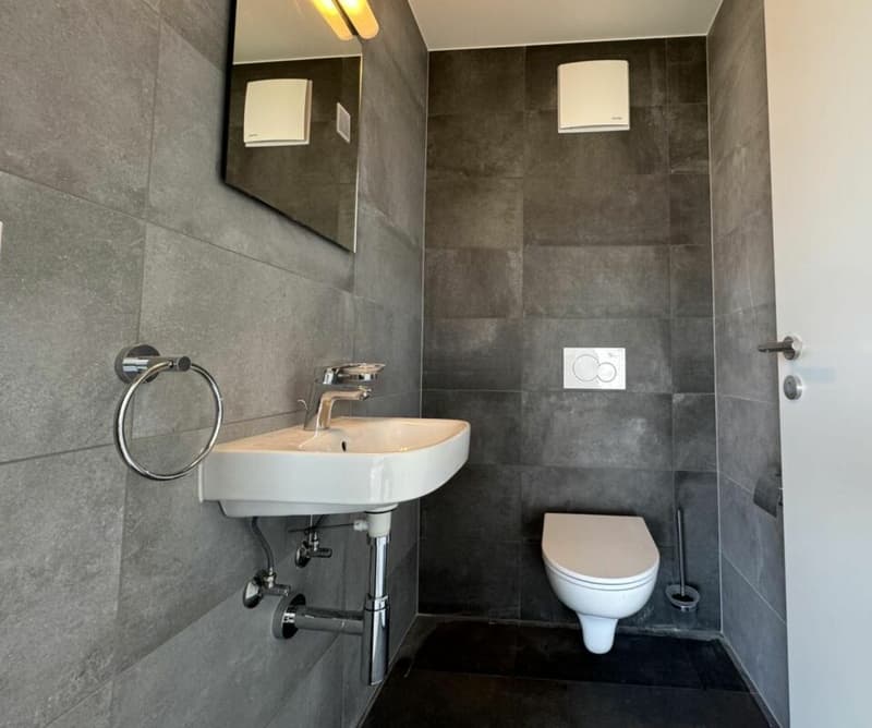 Villa individuelle "En Rarin" 4.5 pièces à Monthey (Choëx) (12)