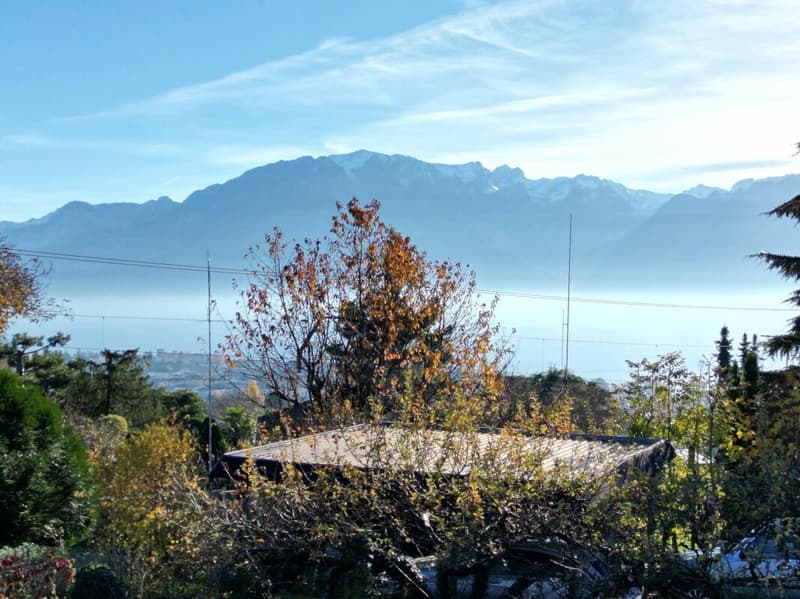 Villa individuelle 5.5 pièces à St-Légier-La Chiésaz (7)