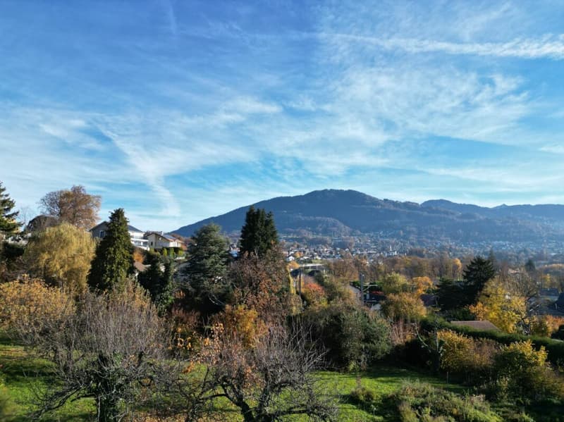 RARE Villa individuelle 5.5 pièces à St-Légier-La Chiésaz (11)
