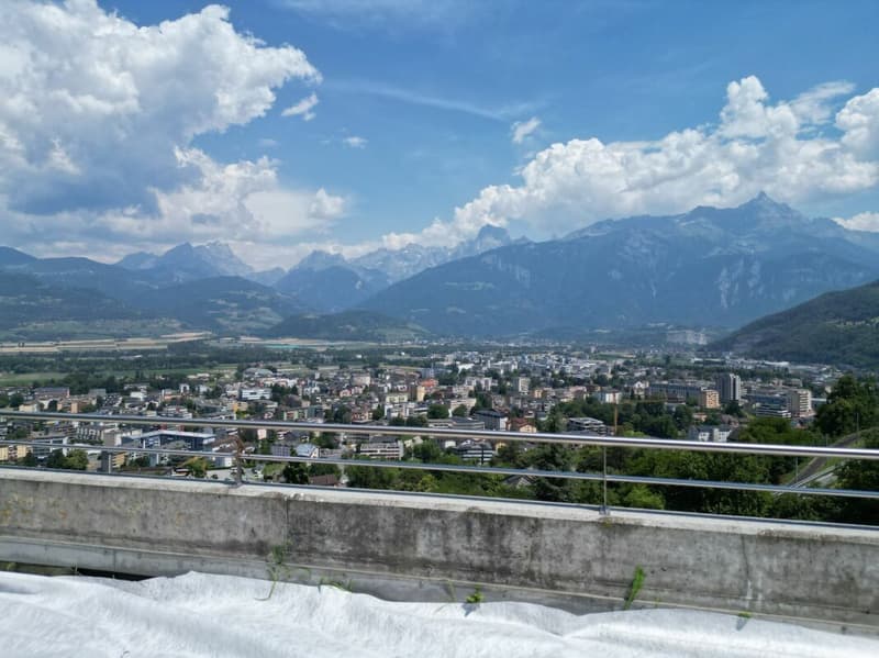 RARE PPE Les Terrasses de Dion attique de 4.5 pièces avec terrasses de 75 m (12)