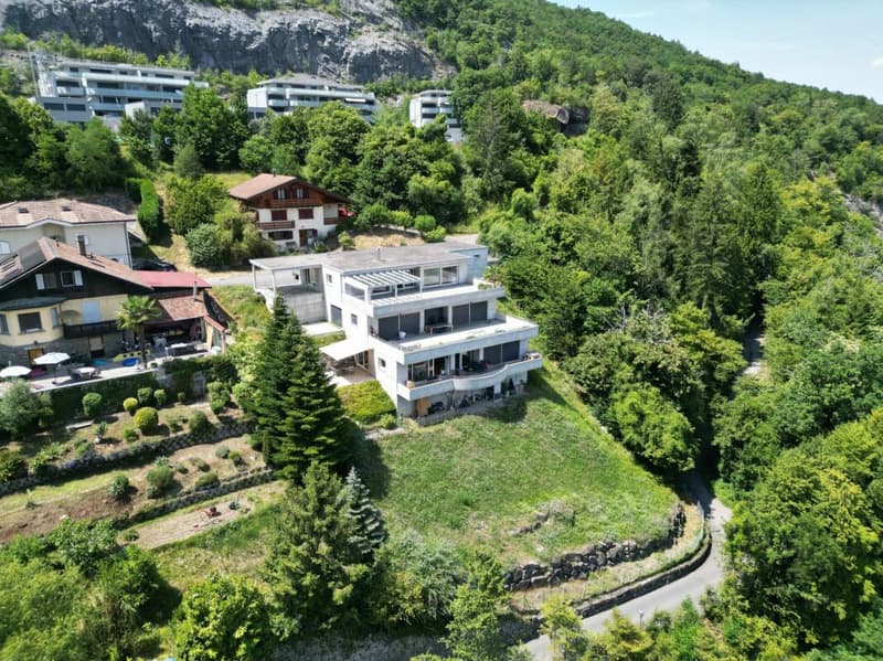 RARE PPE Les Terrasses de Dion attique de 4.5 pièces avec terrasses de 75 m (11)