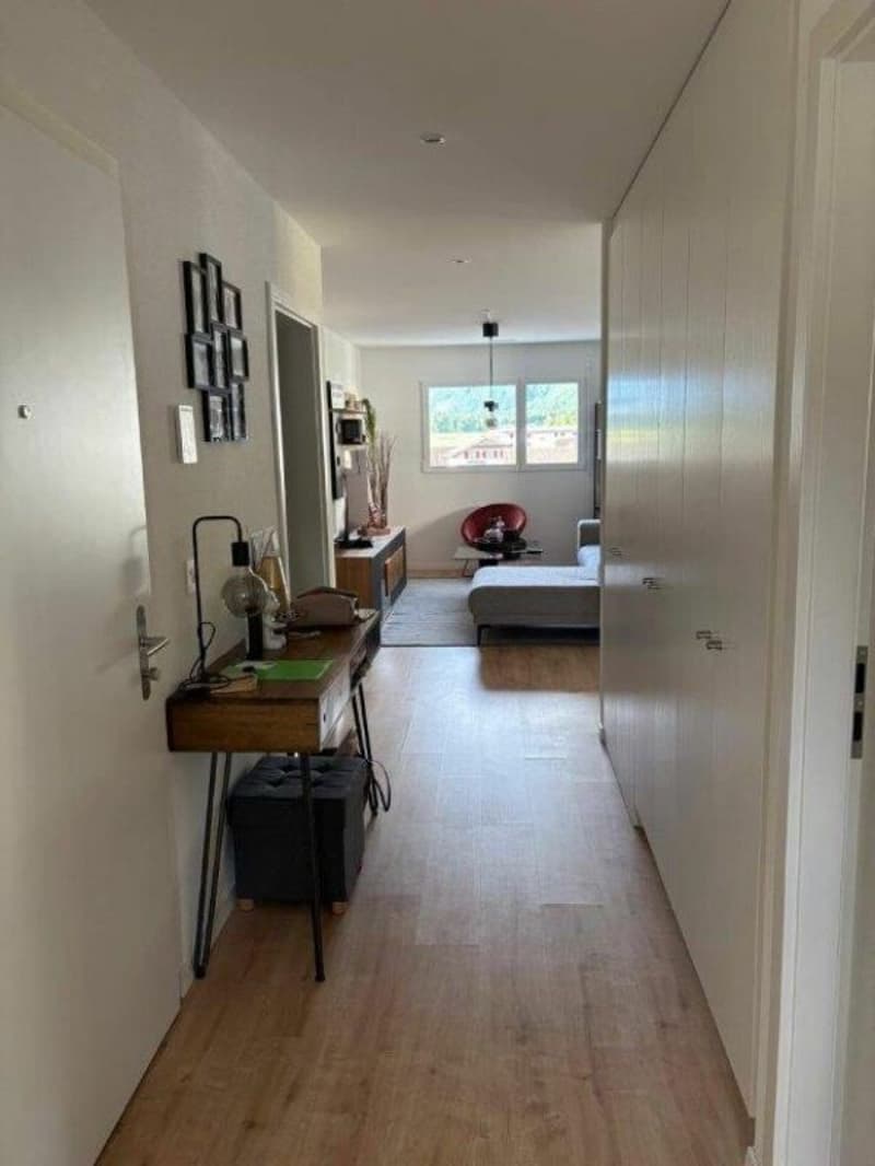 Location 4.5 pcs PPE Bellevue Vouvry (4)