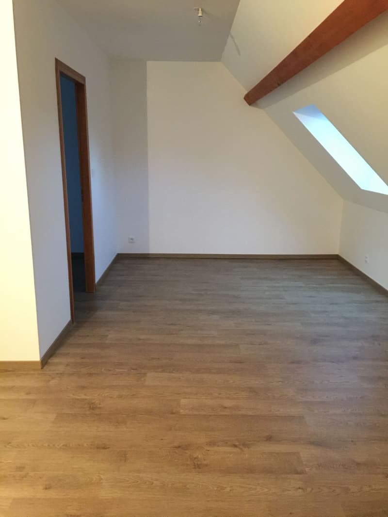 À vendre - Ensemble immobilier de deux maisons mitoyennes - Relans (Jura) (4)