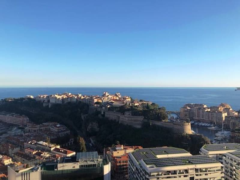 Superbe appartement avec vue au coeur de Monaco (2)