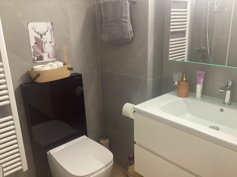Appartement 1 1/2 pièces à Crans-Montana (1)