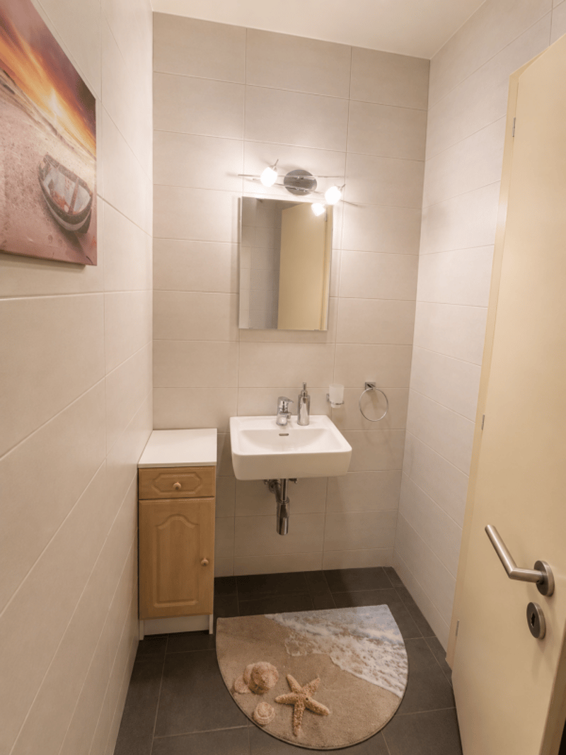 Appartement 3.5 pièces - Charpente apparente (4)