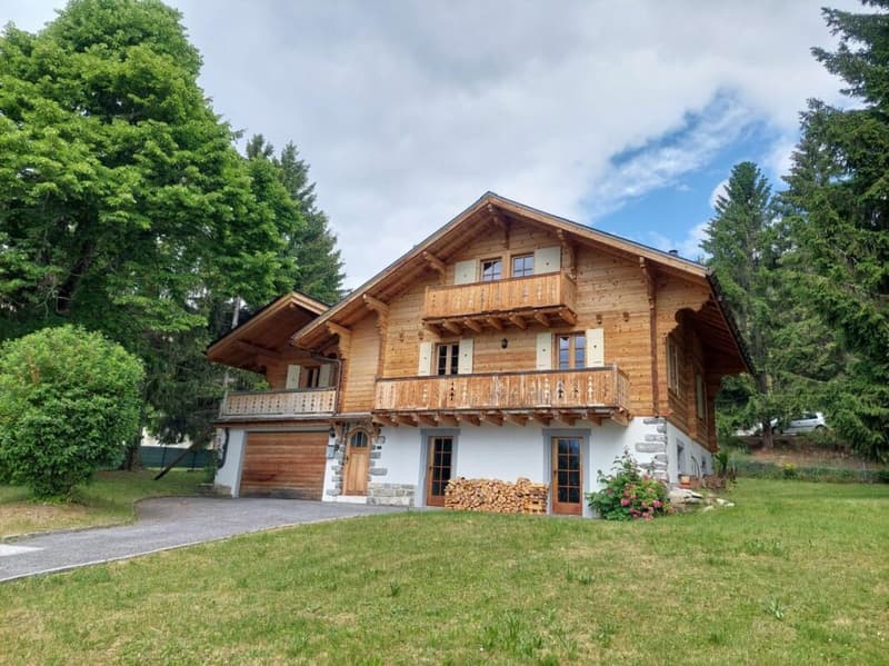 Chalet 6.5 pièces à Blûche (1)