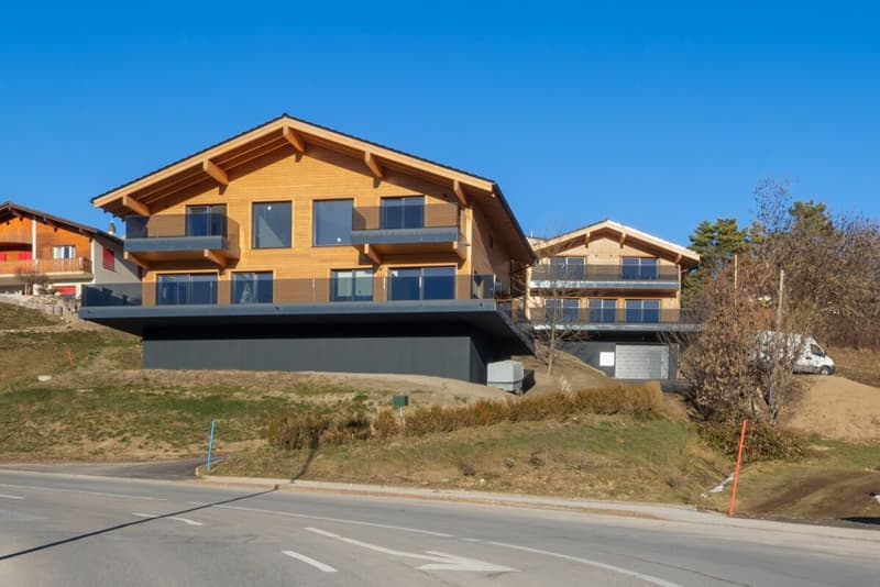 Chalet " Pra Derri " 5 chambres à Lens (13)
