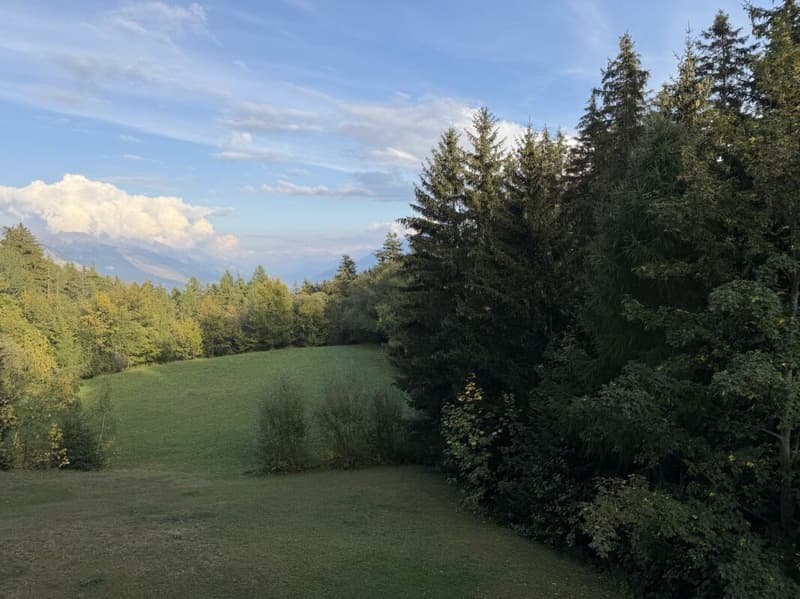 Appartement 3.5 pièces - Calme - Proche du centre de Montana (12)