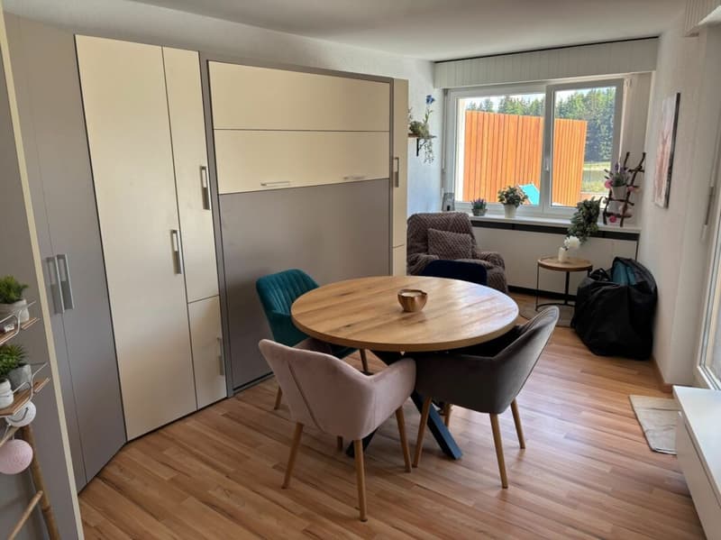 Studio avec terrasse de 70 m² face au lac de la Moubra. (4)