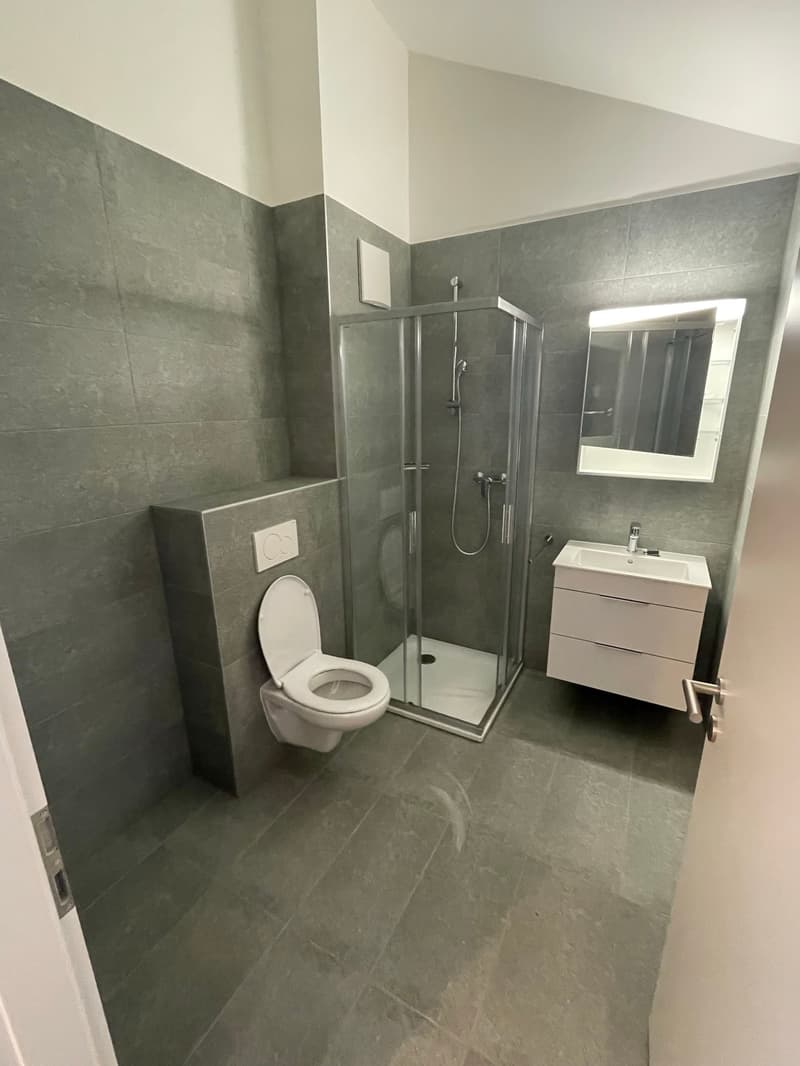 STUDIO MODERNE LUMINEUX AVEC PLACE DE PARC INTERIEURE / MALOC-IMMO (8)