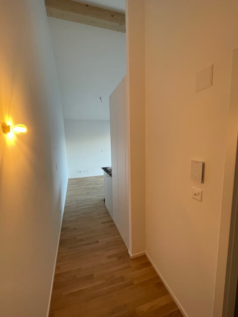 STUDIO MODERNE LUMINEUX AVEC PLACE DE PARC INTERIEURE / MALOC-IMMO (7)