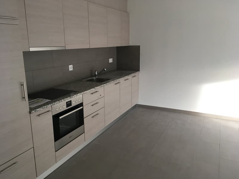 SPACIEUX 2.5 PIECES MODERNE AVEC SUPERBE TERRASSE DE 40M2 - MALOC-IMMO (4)