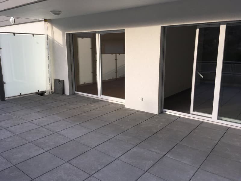 SPACIEUX 2.5 PIECES MODERNE AVEC SUPERBE TERRASSE DE 40M2 - MALOC-IMMO (8)