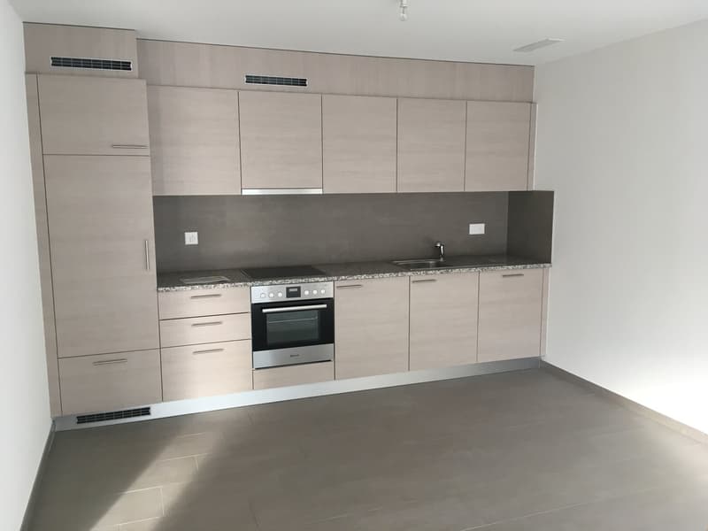 VOTRE MAGNIFIQUE 2.5 PIECES RECENT AVEC SA BELLE TERRASSE - 1 PARKING INT. + 1 PARKING EXT. INCLUS (2)