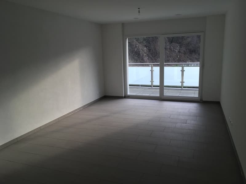 VOTRE MAGNIFIQUE 2.5 PIECES RECENT AVEC SA BELLE TERRASSE - 1 PARKING INT. + 1 PARKING EXT. INCLUS (1)
