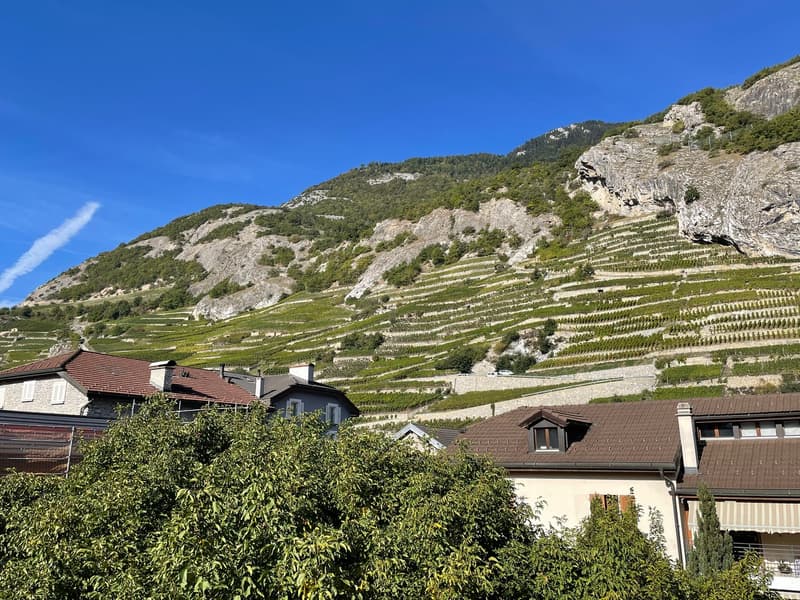 SUPERBE 3.5P NEUF AVEC BALCON ET PARC INTERIEUR COMPRIS- SITUATION IDÉALE À ARDON (1)