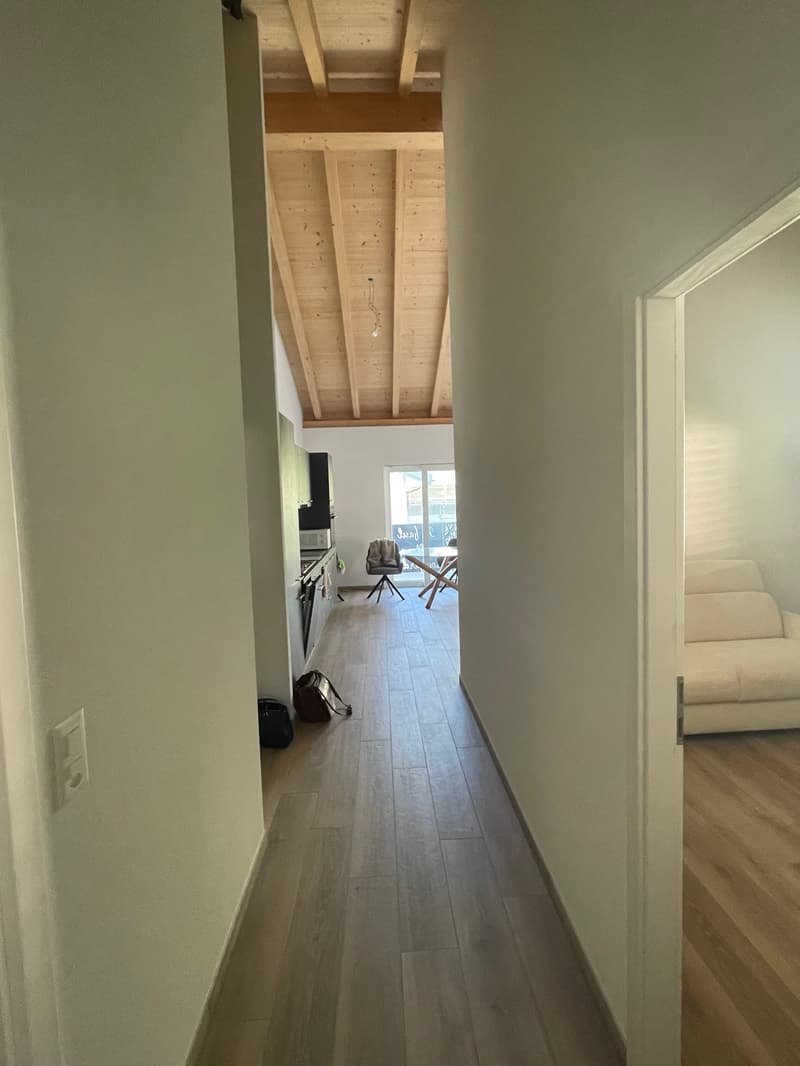 SUPERBE 3.5P NEUF AVEC BALCON ET PARC INTERIEUR COMPRIS- SITUATION IDÉALE À ARDON (9)