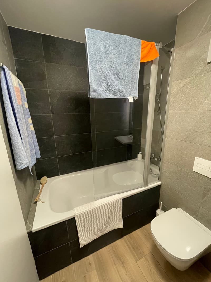 SUPERBE 3.5P NEUF AVEC BALCON ET PARC INTERIEUR COMPRIS- SITUATION IDÉALE À ARDON (18)