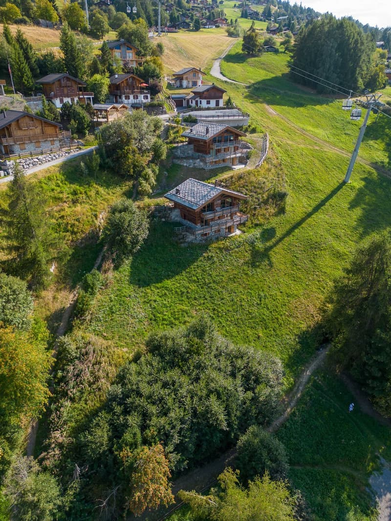 Aerial view of wooden chalets and a ski lift, surrounded by green fields, trees, and a winding road.