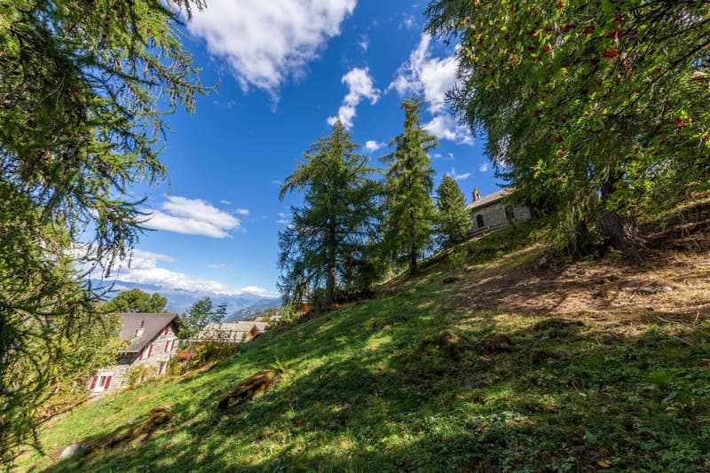 two stone houses surrounded by trees and greenery, green grass, trees with red fruits, distant mountains, blue sky with clouds
