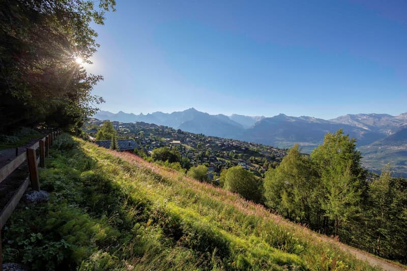 hill, green grass, small wooden fence, mountains in the background, sunny weather