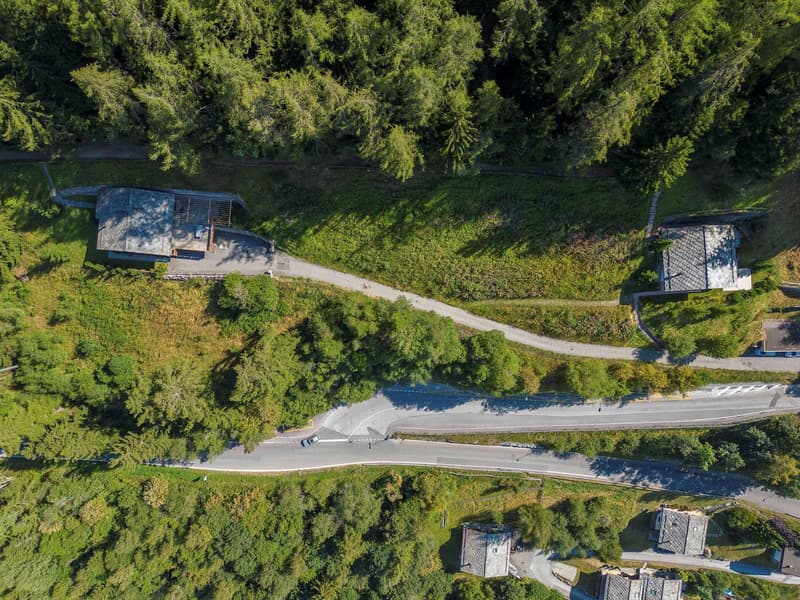 forest area with road and houses