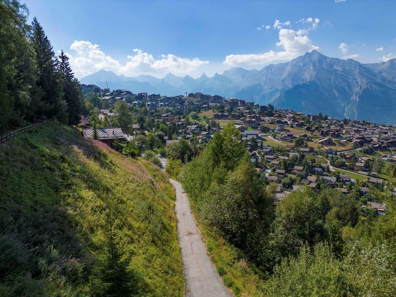 Mountain village with chalet-style houses, road, dense trees, lush greenery, mountains in the background