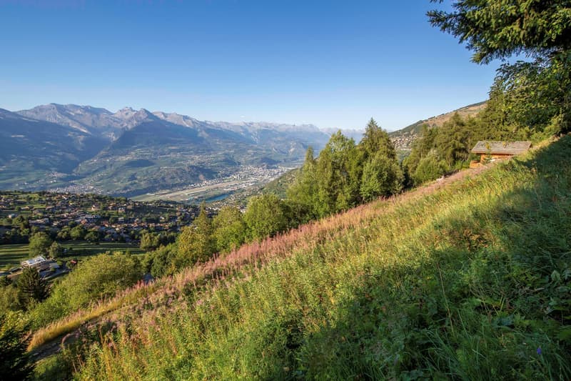 hill with grassy slopes, pink and green plants, a small chalet, view of a town, mountains, clear blue sky