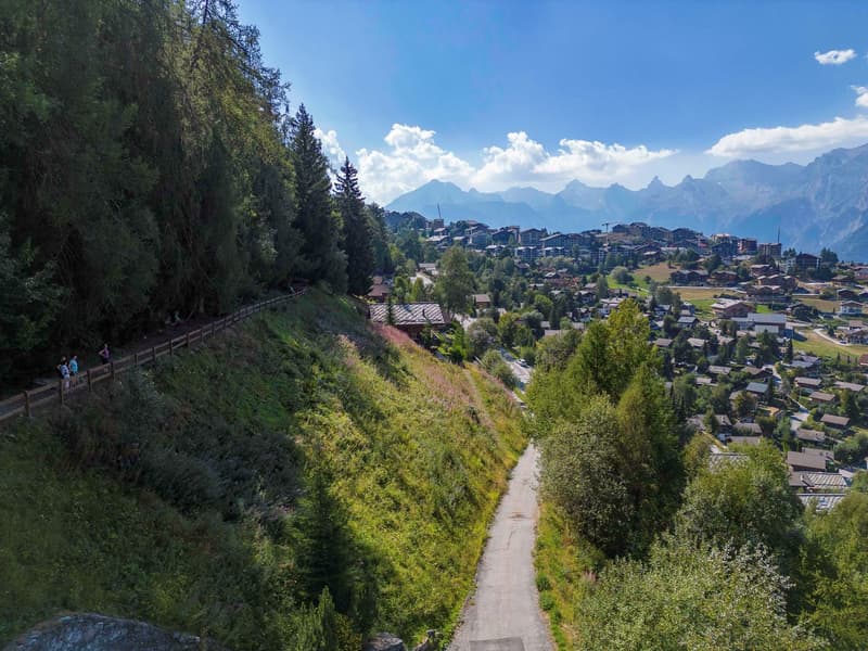 path, trees, greenery, village, mountains