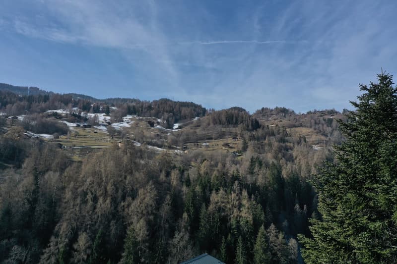 aerial view of mountains, trees, snow, and houses