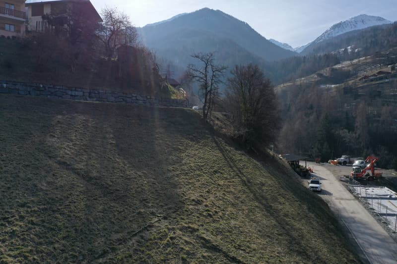 An exterior view of a house set in a mountainous region with snow-capped peaks, surrounded by trees and grass, with a road leading to the mountains.
