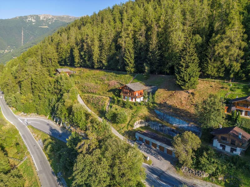 Chalet surrounded by trees and mountains, wooden house, garage, driveway