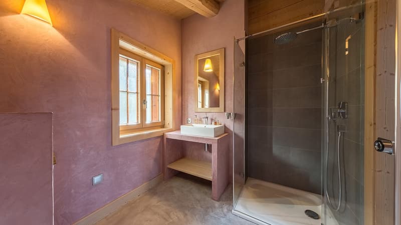 Luxueux refuge alpin sur les pistes des 4 Vallées (14)