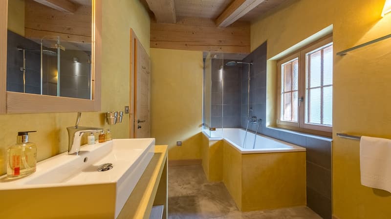 Luxueux refuge alpin sur les pistes des 4 Vallées (15)