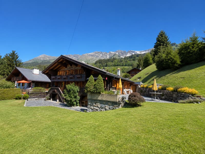 C’est exactement le genre de chalet que l’on imagine quand on rêve de la Suisse. (43)