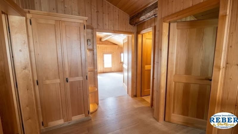 wooden walls, wooden floor, wooden doors, wooden cabinet, hallway