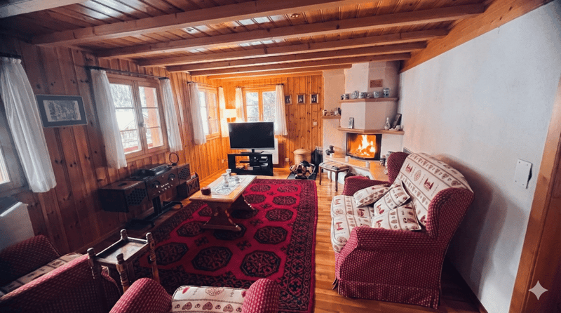 wooden walls, fireplace, TV, sofa, coffee table, rug, radiator