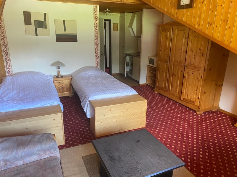 Immeuble résidentiel et commercial à vendre – Les Diablerets (2)