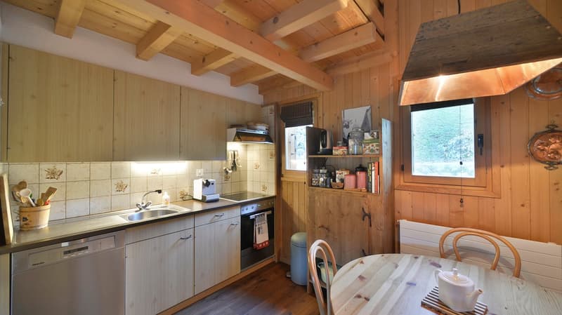 LOCATION SEMAINE - CHEZ ANOUK - LES DIABLERETS (5)