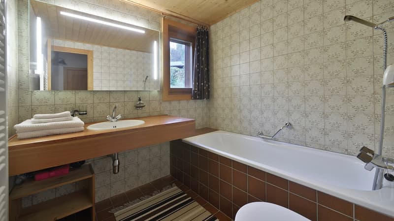 LOCATION SEMAINE - CHEZ ANOUK - LES DIABLERETS (9)