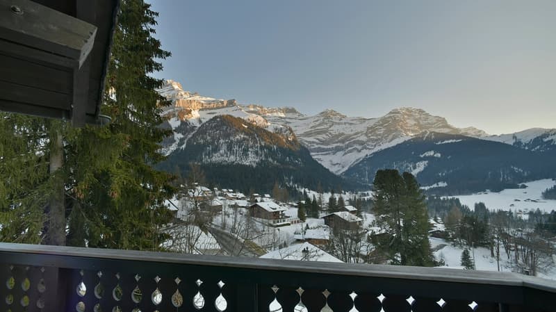 LOCATION SEMAINE - LE LÉZARD - LES DIABLERETS (15)