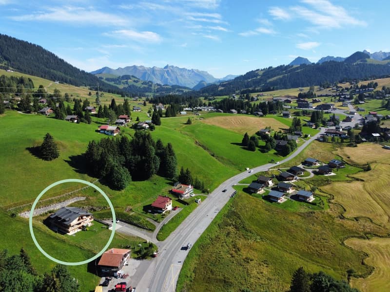 APPARTEMENT 3,5 PIÈCES - À VENDRE - RÉS. LES FLOCONS - AUX MOSSES (8)
