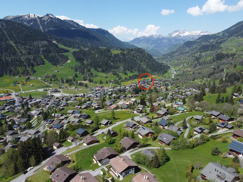 Mountain village with many chalets, green meadows, and a scenic view of the mountains