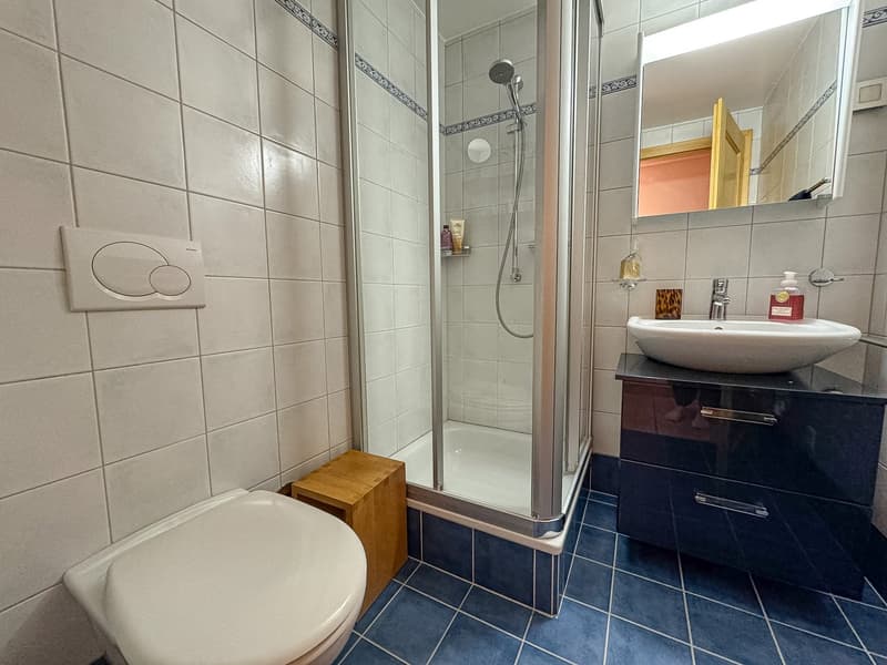 Appartement 3,5 pièces - Résidence Diablerets Parc - Les Diablerets (12)
