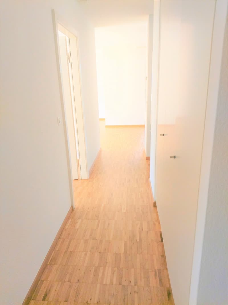 Schöne 3.5 Zi-Wohnung im 2. Stock mit balkon im Zentrum Brig (E2-2) (4)