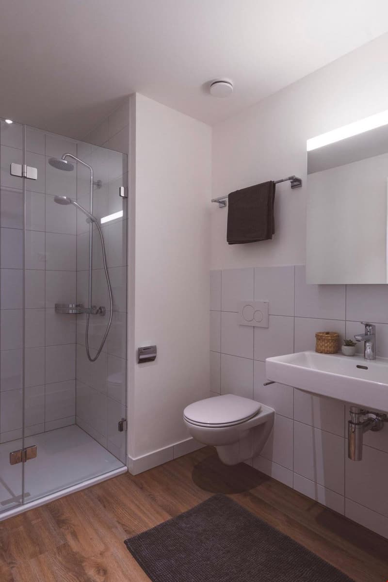 2 1/2 Zimmerwohnung (E1-B4) (3)