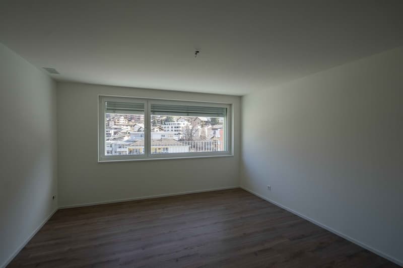 2 1/2 Zimmerwohnung (E1-B4) (2)