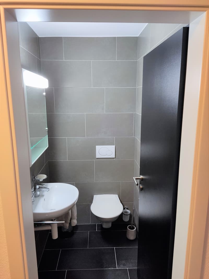 Wunderschöne 3.5 Zi-Wohnung im Erdgeschoss in Visp West (R-C5) (9)